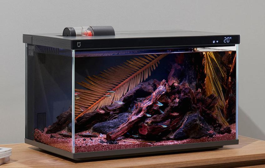 百家樂:小米智能魚缸衆籌成功,智能養寵或成下一個風口