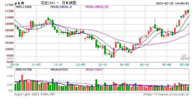 山东花生收入“保险+期货” 开启乡村“丰”景