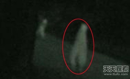 {娛樂城}(真实的外星人视频大全) {娛樂城}(真实的外星人视频大全)